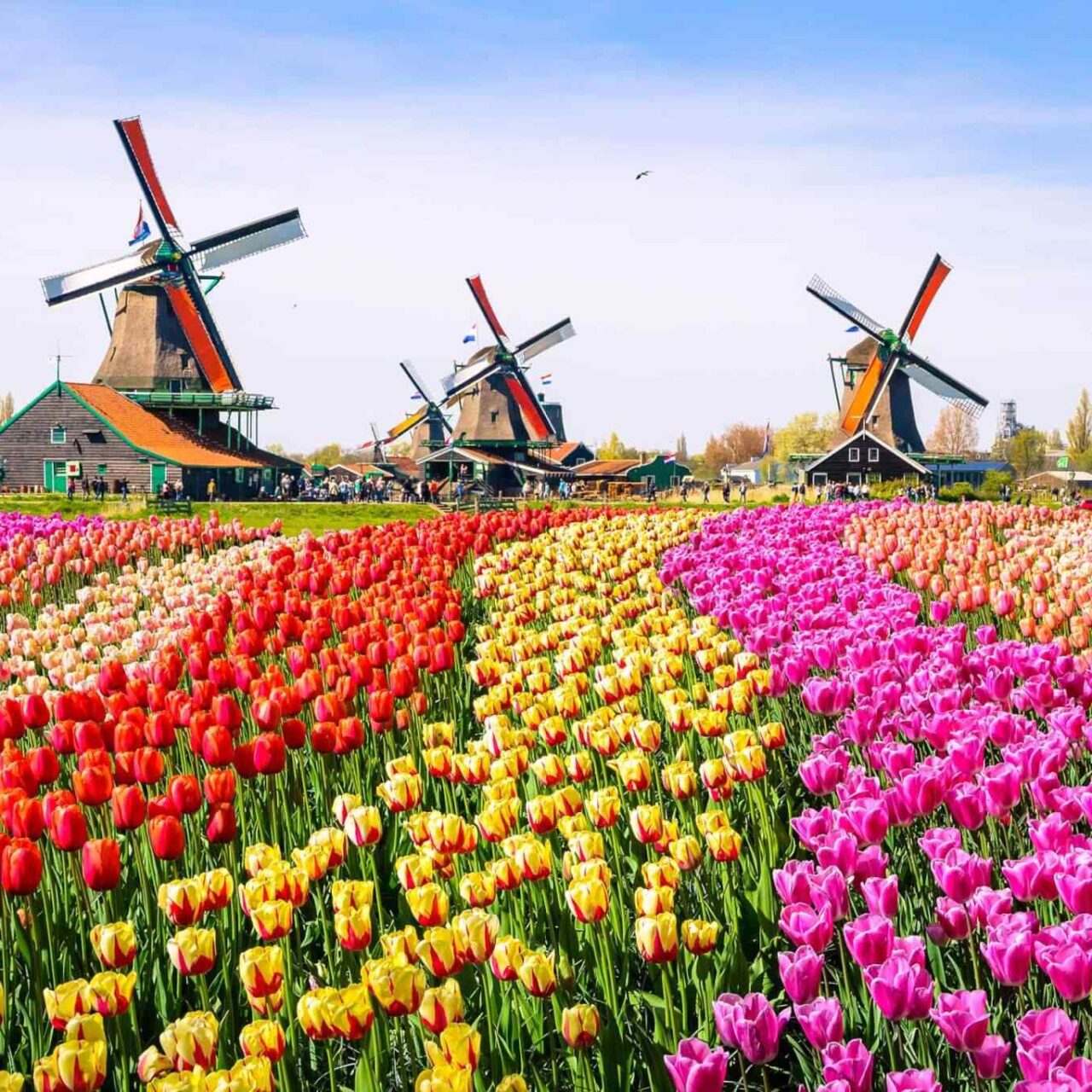 https://www.iberoamericaviaggi.com/wp-content/uploads/2018/09/destination-netherlands-01-1280x1280.jpg