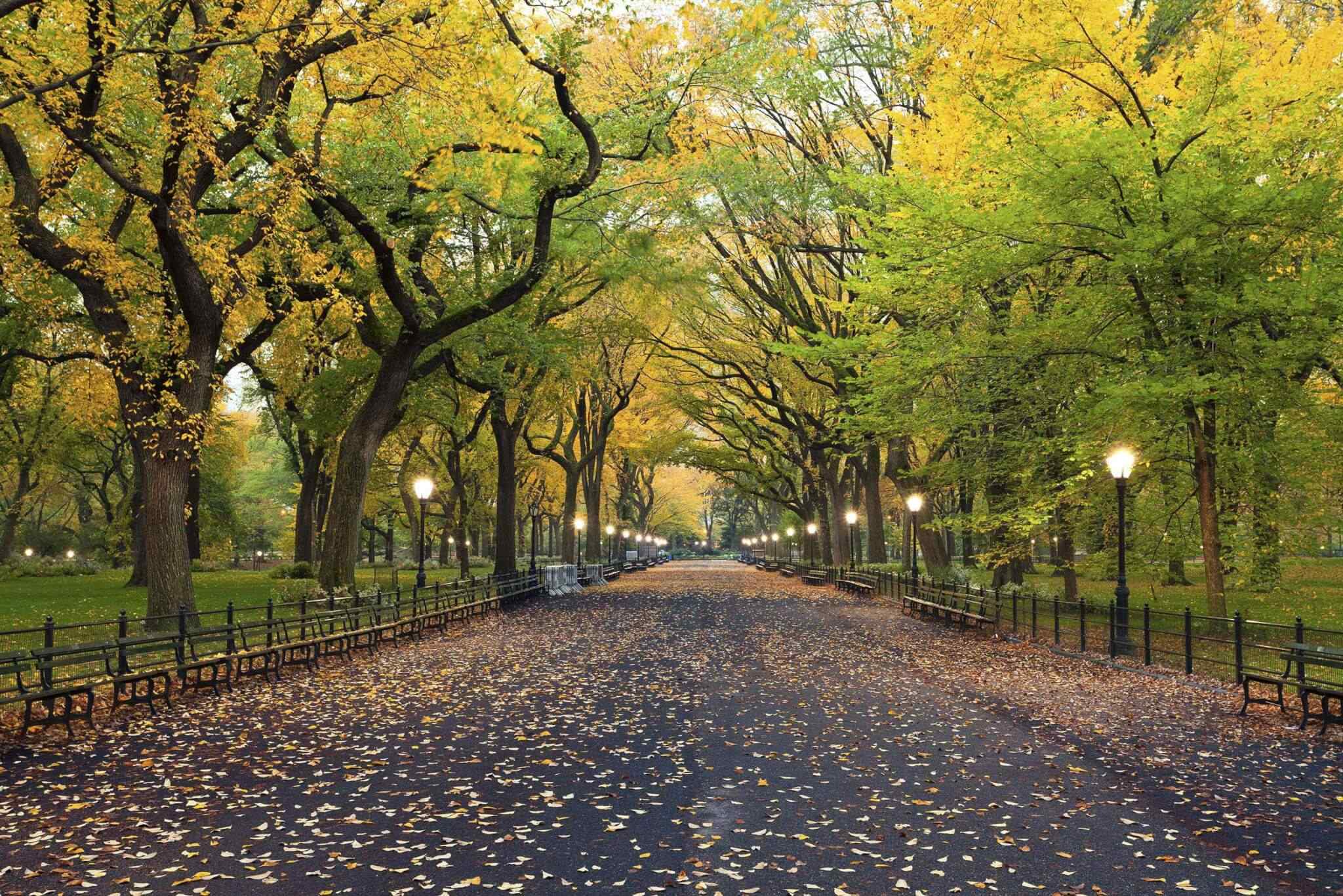 https://www.iberoamericaviaggi.com/wp-content/uploads/2018/09/destination-new-york-02.jpg