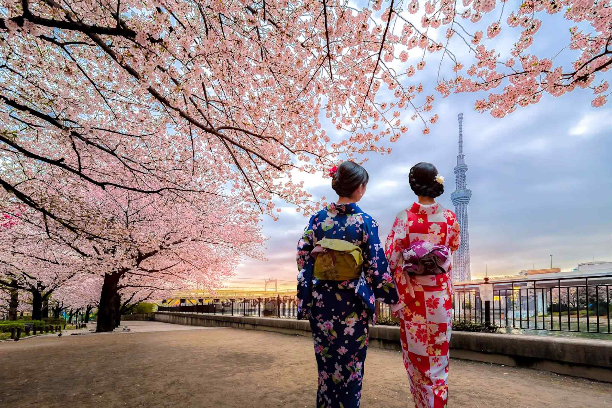https://www.iberoamericaviaggi.com/wp-content/uploads/2018/09/destination-tokyo-03.jpg