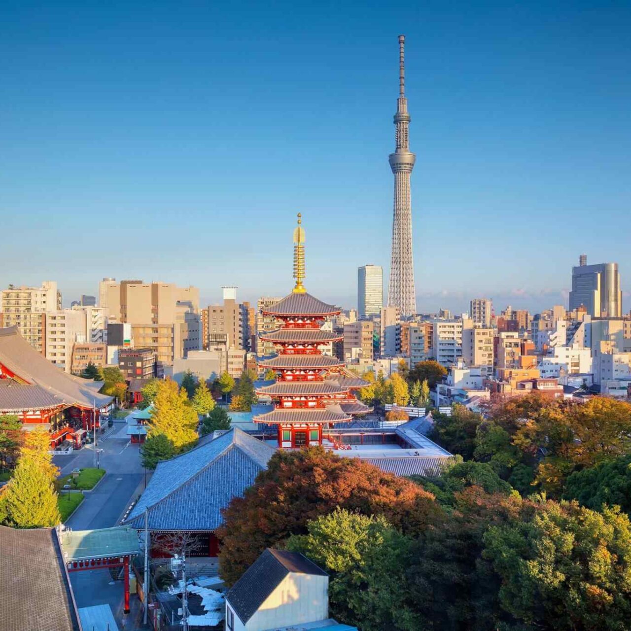 https://www.iberoamericaviaggi.com/wp-content/uploads/2018/09/destination-tokyo-04-1280x1280.jpg