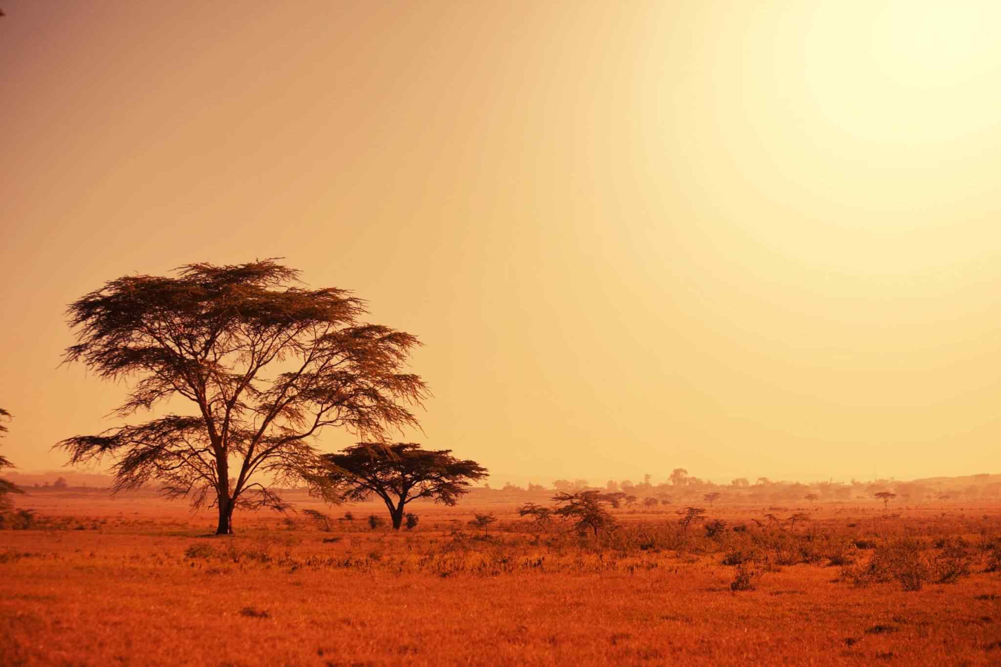 https://www.iberoamericaviaggi.com/wp-content/uploads/2018/09/tour-africa-02.jpg
