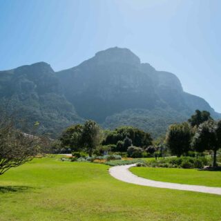 https://www.iberoamericaviaggi.com/wp-content/uploads/2018/09/tour-capetown-03-320x320.jpg