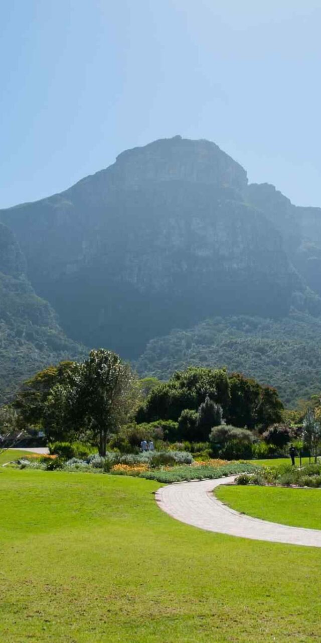 https://www.iberoamericaviaggi.com/wp-content/uploads/2018/09/tour-capetown-03-640x1280.jpg