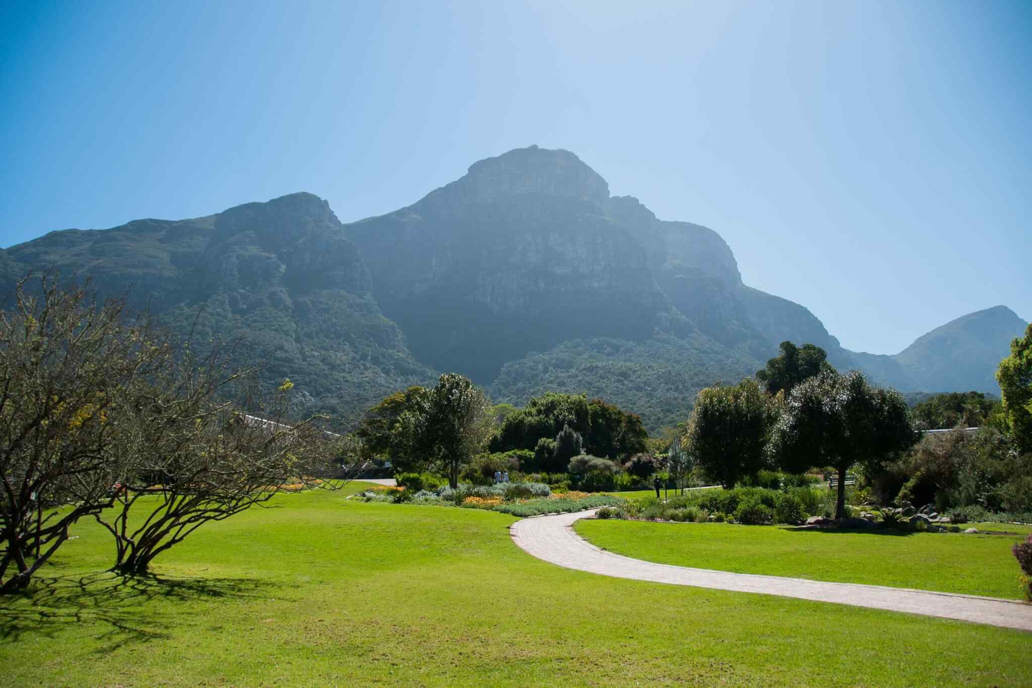 https://www.iberoamericaviaggi.com/wp-content/uploads/2018/09/tour-capetown-03.jpg